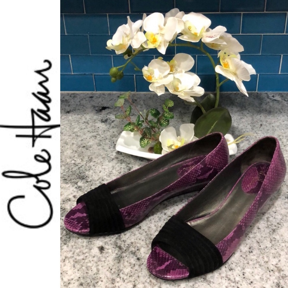 Stunning Cole Haan flats